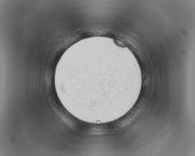 X0000111460315200908241325