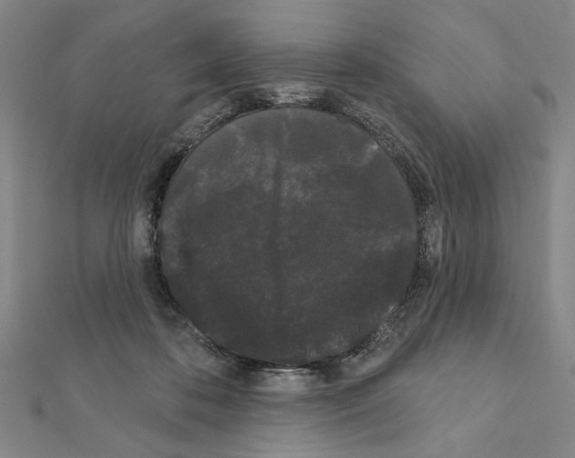 X0000111460316200908241325