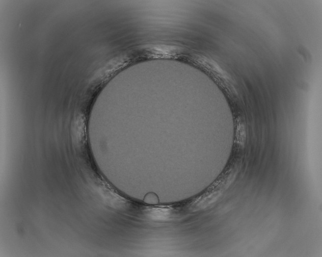 X0000111460318200908241325