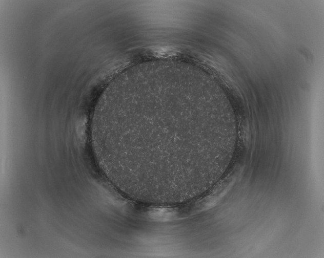 X0000111460319200908241325