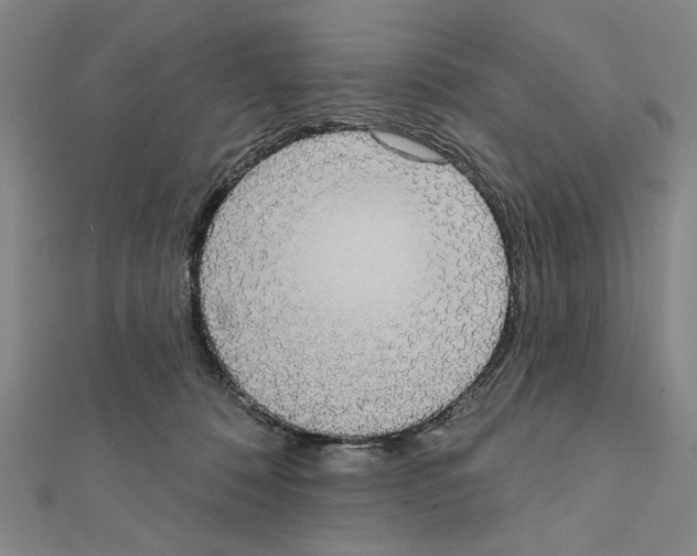 X0000111460320200908241325