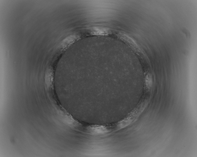 X0000111460322200908241325