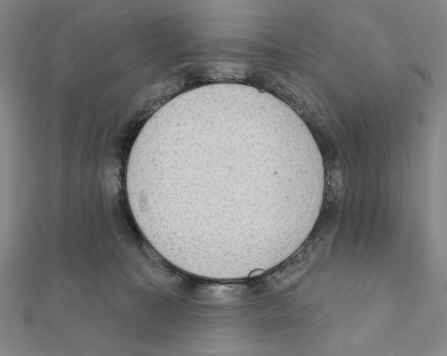 X0000111460323200908241325