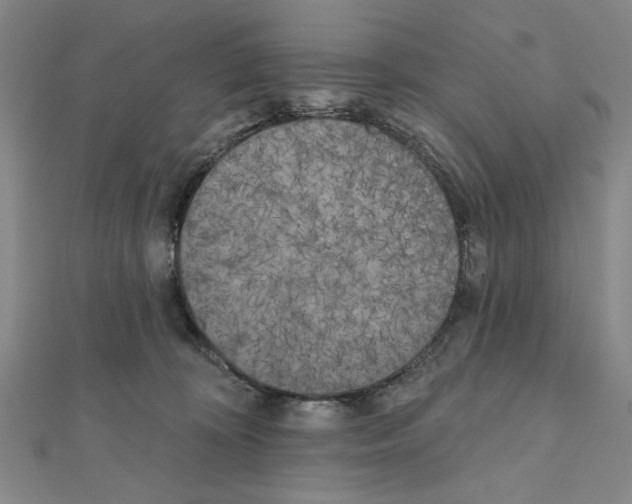X0000111460324200908241325