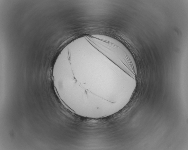 X0000111460325200908241325