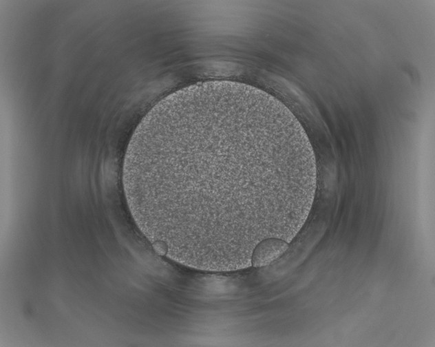 X0000111460326200908241325