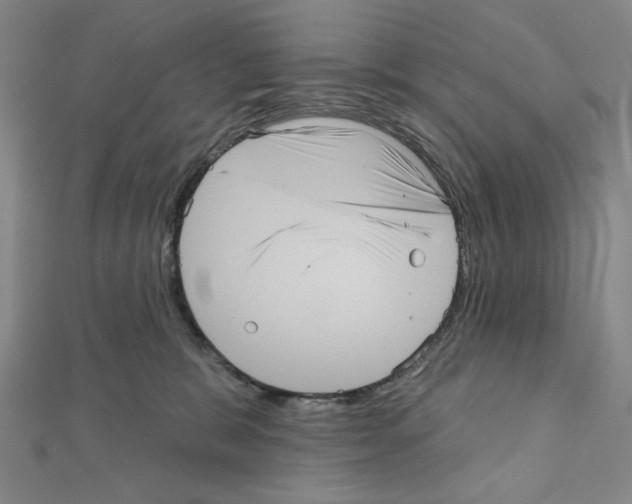 X0000111460327200908241325