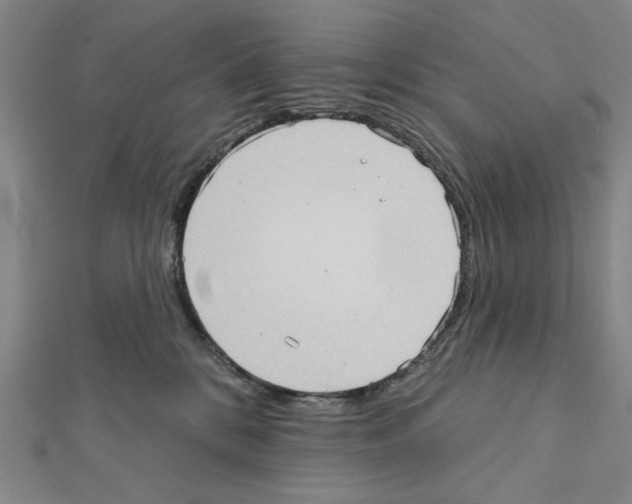 X0000111460328200908241325