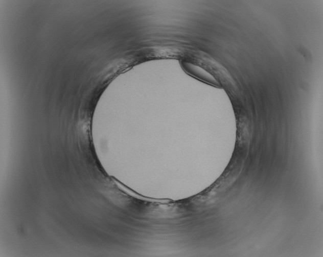 X0000111460329200908241325