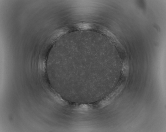 X0000111460330200908241325