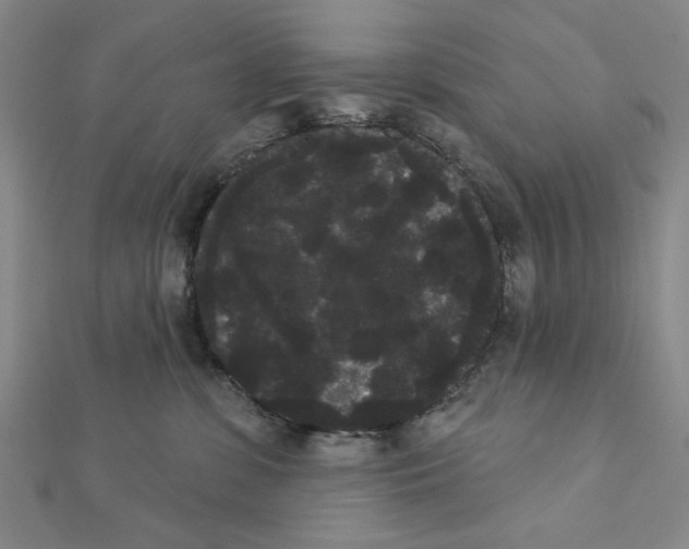 X0000111460331200908241325