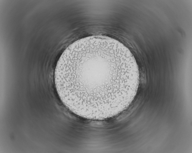 X0000111460332200908241325