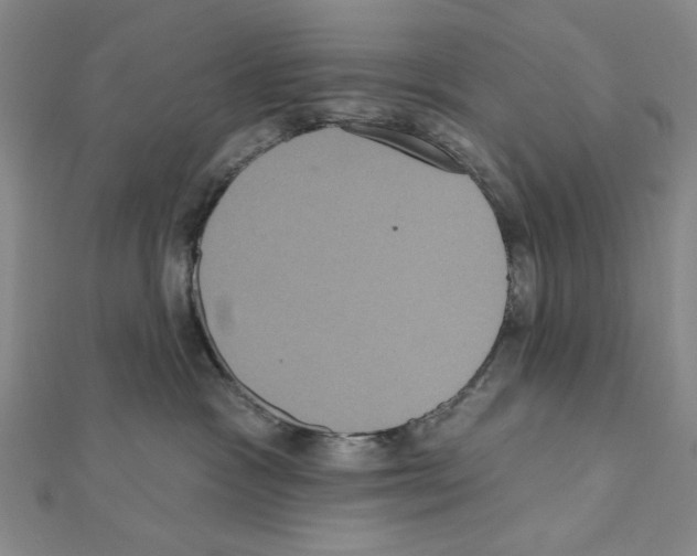 X0000111460333200908241325