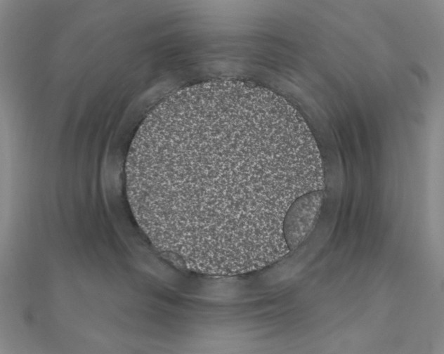 X0000111460334200908241325