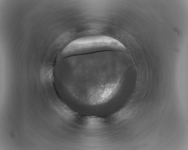 X0000111460336200908241324