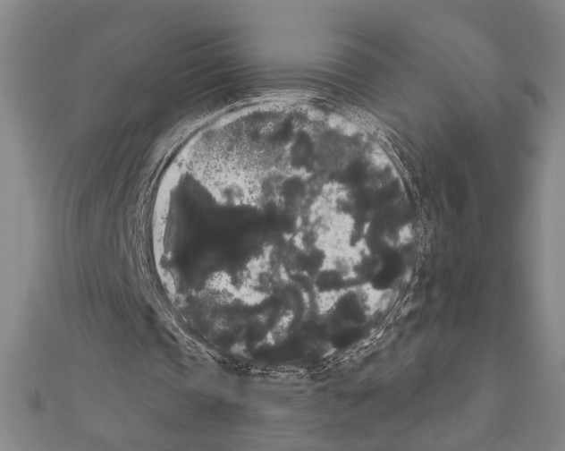 X0000111460337200908241324