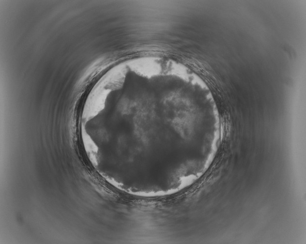 X0000111460339200908241324