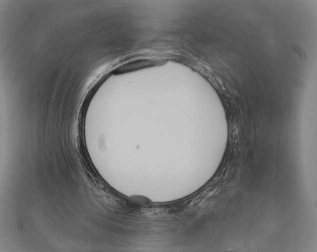 X0000111460340200908241324