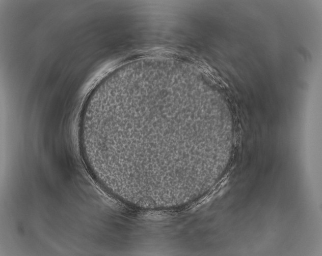 X0000111460341200908241324