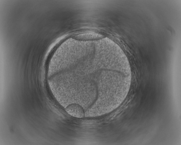 X0000111460342200908241324