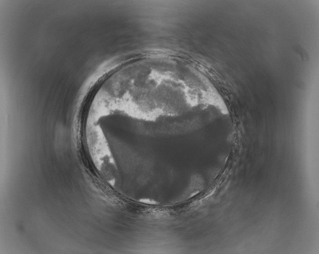 X0000111460343200908241324