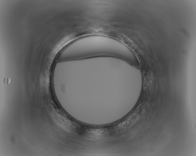 X0000111460344200908241324