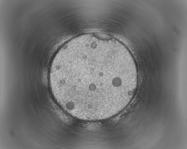X0000111460345200908241324