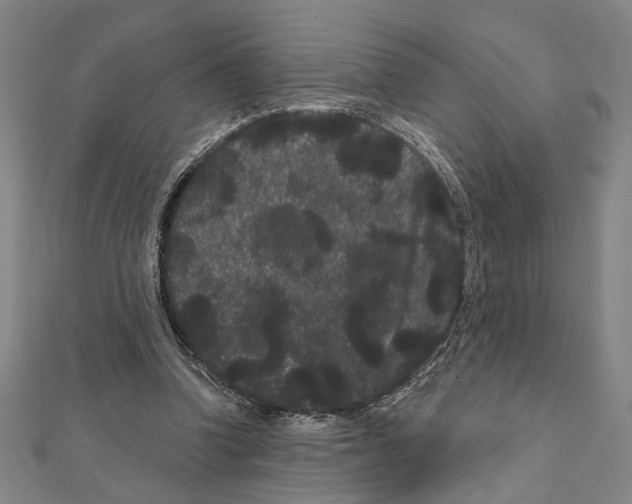 X0000111460346200908241324