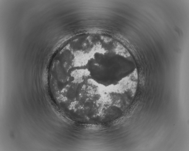 X0000111460347200908241324