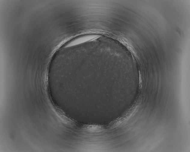 X0000111460348200908241324