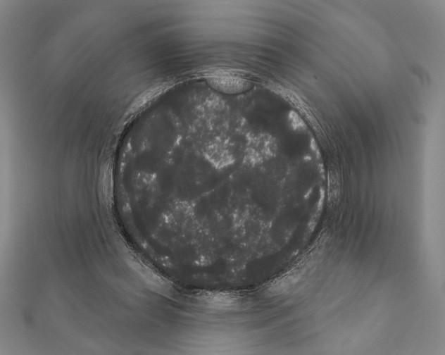 X0000111460349200908241324