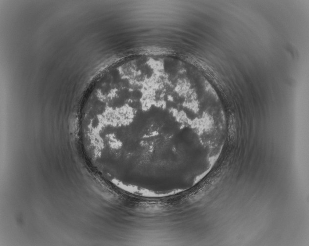X0000111460351200908241324