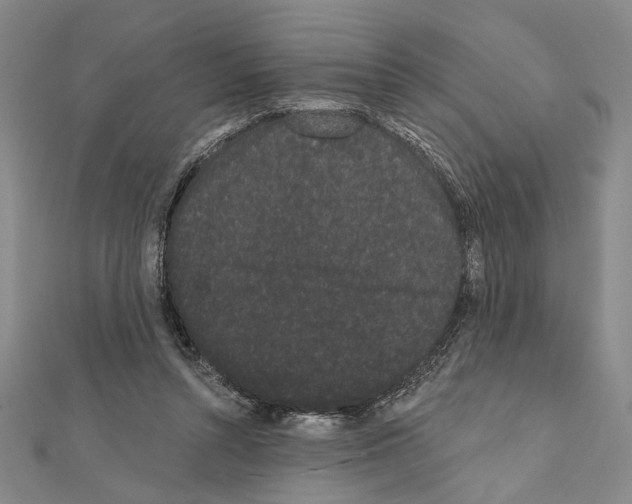 X0000111460352200908241324