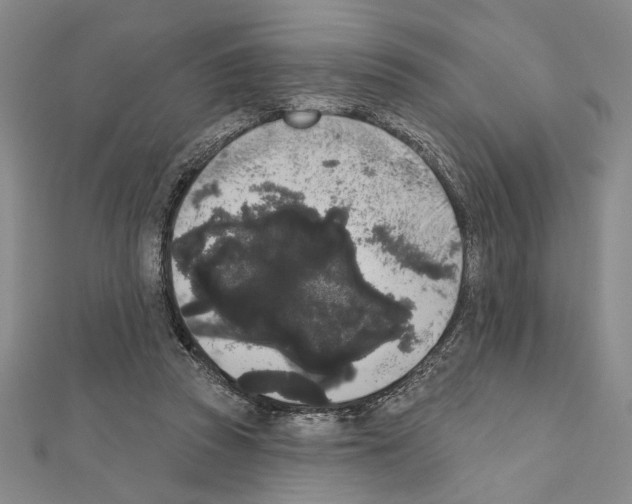 X0000111460353200908241324