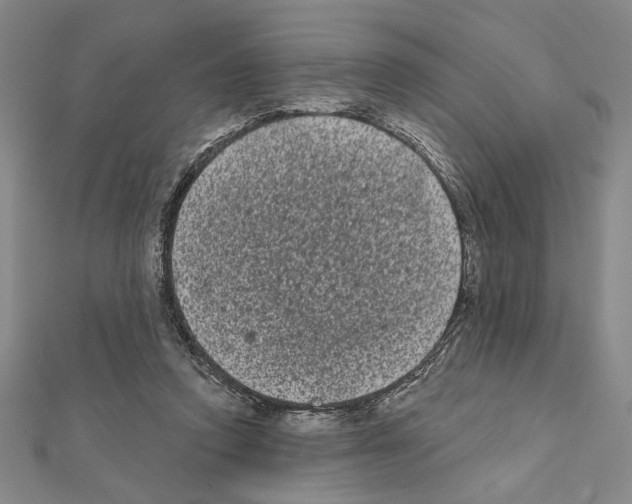 X0000111460354200908241324