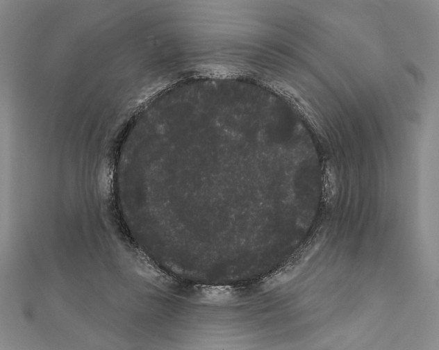 X0000111460355200908241324
