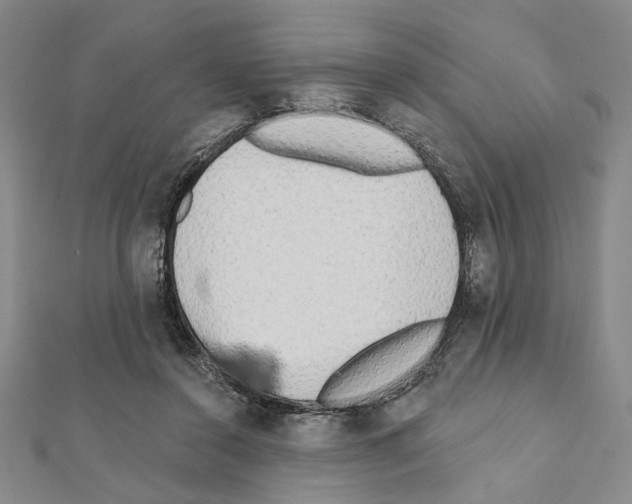 X0000111460356200908241324