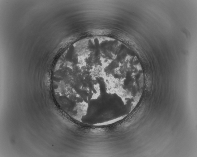 X0000111460357200908241324