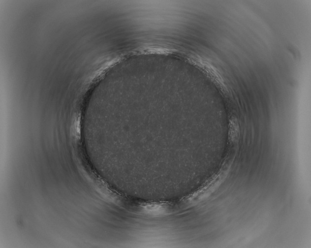 X0000111460358200908241324