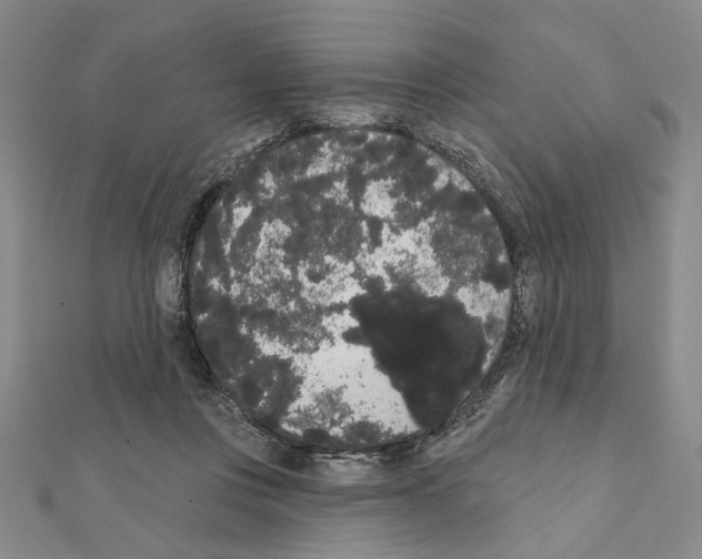 X0000111460359200908241324