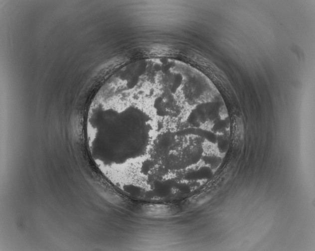 X0000111460361200908241324