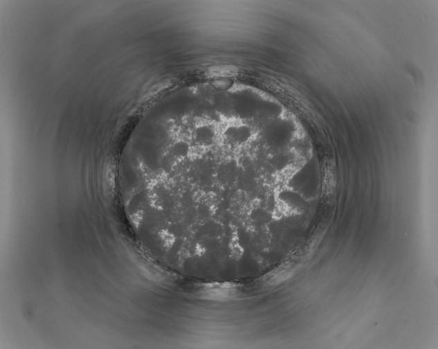 X0000111460363200908241324