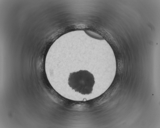 X0000111460364200908241324