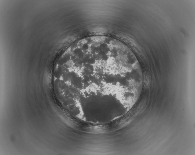 X0000111460365200908241324