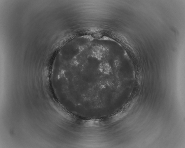 X0000111460366200908241324