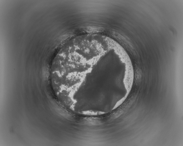 X0000111460367200908241324