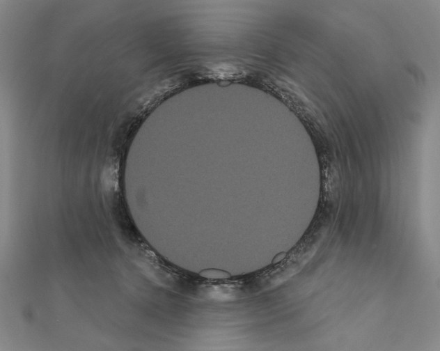 X0000111460368200908241324