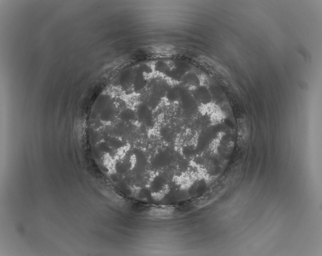 X0000111460369200908241324