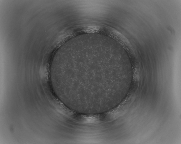 X0000111460370200908241324