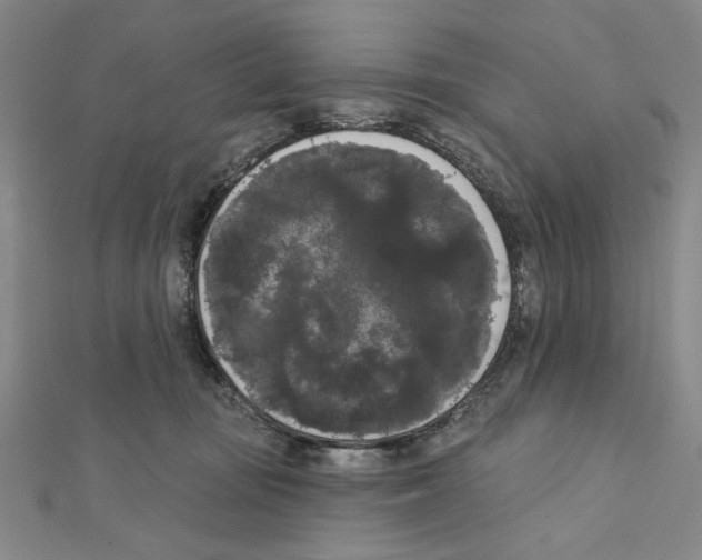 X0000111460371200908241324